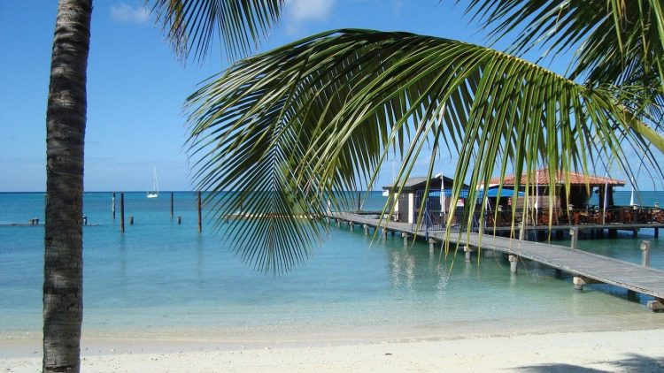 Prolongez vos vacances au soleil pendant l’hiver